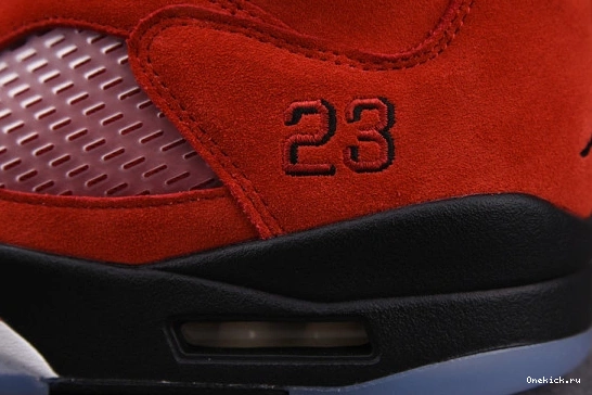 Bulls Jordan Retro 5 Raging 524 StreetReady DD0587-600 AIR Red (2021) DD0587-600 0605